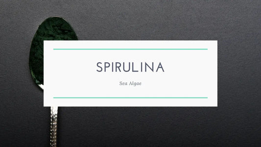Dive into Wellness with Spirulina: Nature’s Green Superfood